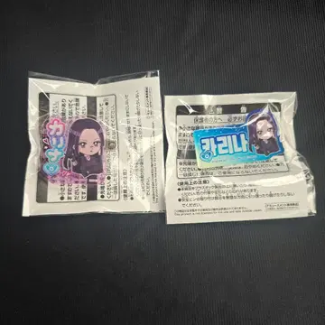aespa 에스파 namco 한정판 이름 아크릴 배지 카리나 2종 세트