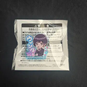 aespa 에스파 namco 한정판 이름 아크릴 배지 윈터 일본어