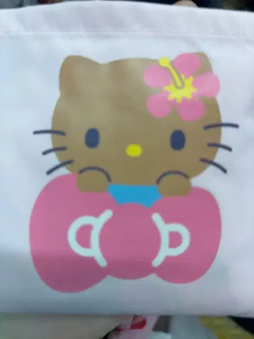 일광화상 키티