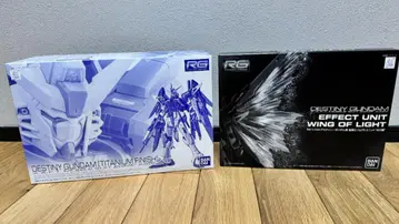 RG 1/144 디스티니 건담 & 확장 이펙트 유닛 빛의 날개 세트