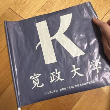 칸세이 대학 응원 플래그