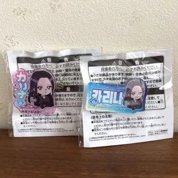 aespa 이름 아크릴 배지 카리나 에스파 namco 2종