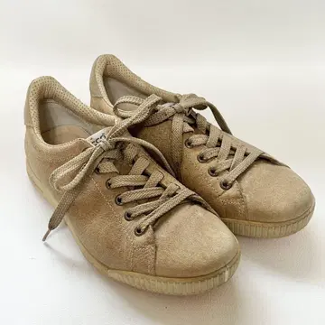 에코 남성용 골프화 사이즈 39 24.5cm
