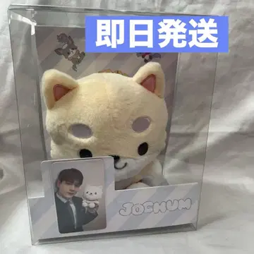 JOCHUM JO1 마메치 마메하라 잇세이 봉제 인형