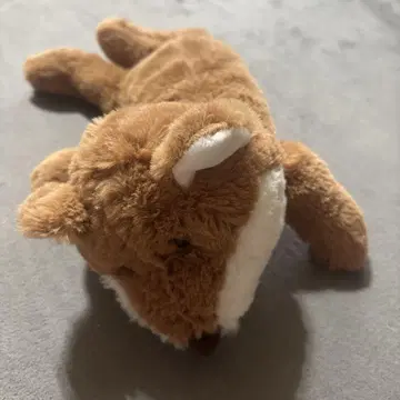 미야가와 다이세이 여우 봉제 인형