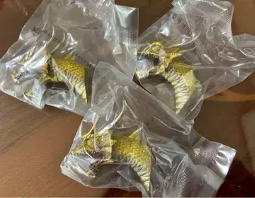 제일복권 고질라 G상 몬스터 머그 헤드 킹기도라 3개 세트