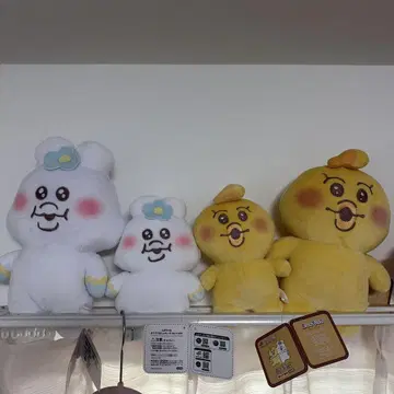 뚱보 4개 세트