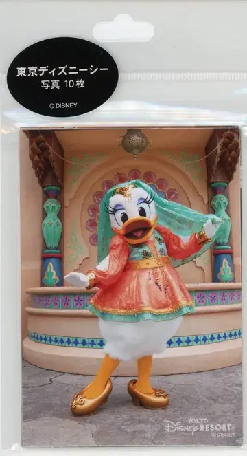 도쿄 디즈니 리조트 사진 10장 도쿄 디즈니씨(실사) 2022