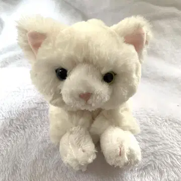 무릎 고양이 키티 봉제 인형