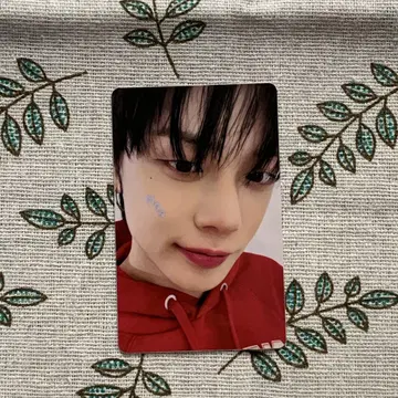 TXT 펜미 moazone 영준 일본 공연 트레이딩 카드 FC 한정판