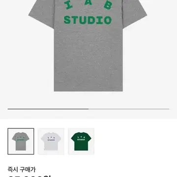 【IAB STUDIO】 IAB Studio T-Shirt Gray Green IAB Studio T-Shirt Gray Green - 22FW | eBay