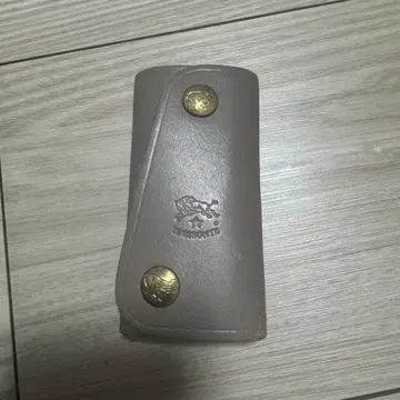 일비종떼 키케이스