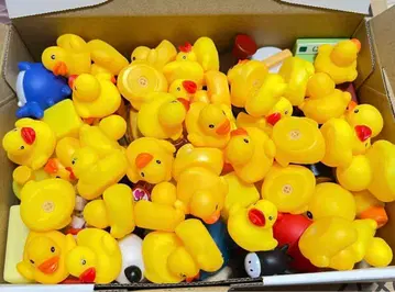 푸카푸카 오리 잡기 푸카푸카 잡기 랜덤 집 엔니치