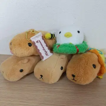 카피바라 씨 마스코트 봉제 인형 세트