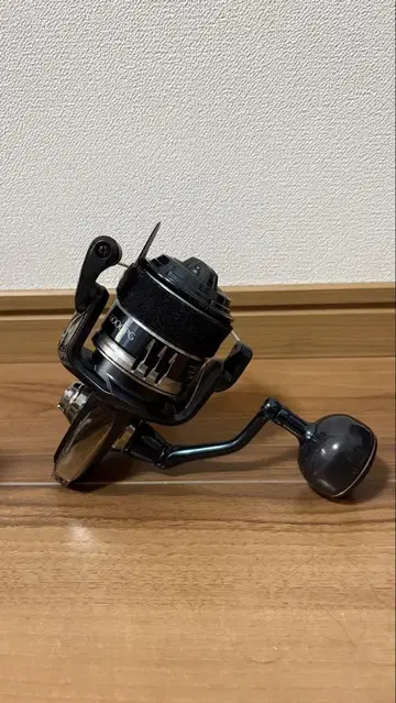 시마노 스트라딕 SW 6000PG