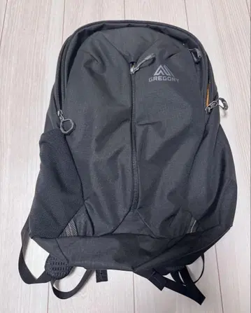 그레고리 루네 20 RHUNE 20