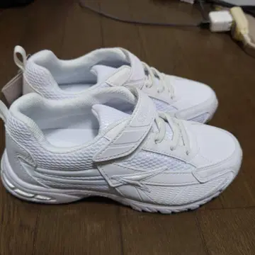 순족