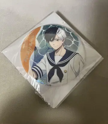 WIND BREAKER 윈브레 GiGO 캔뱃지 벚꽃 하야