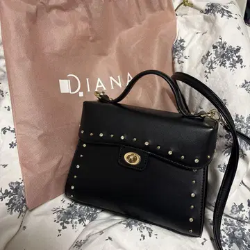 다이애나 스터드 백