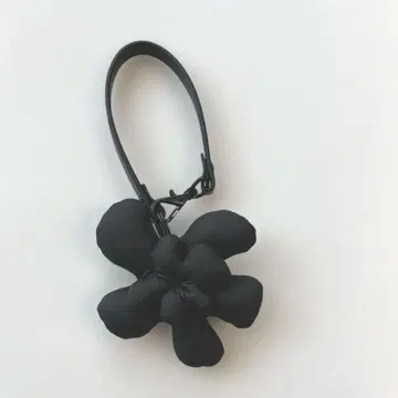 캠퍼 백 참