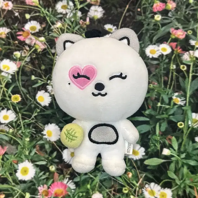 스테이씨 메로냥 인형 아이사 위씨 팝업 응원봉 포카 포토카드 키링