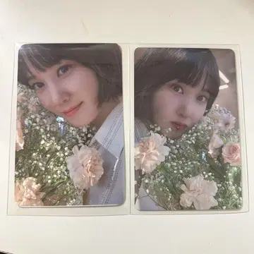 박은빈 트레이딩 카드 2장 세트