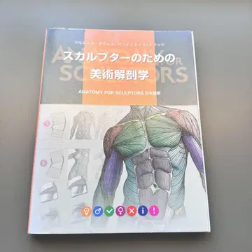스컬프터를 위한 미술 해부학