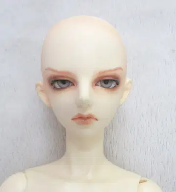 Luts 시니어 델프 SDF-4.