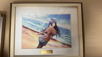 청춘 돼지들 캐릭터 파인 그래프