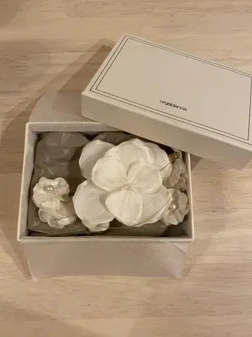 orgablanca 귀찌
