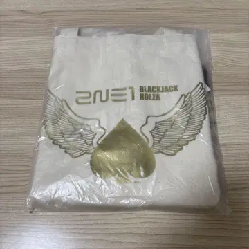 2NE1 블랙잭 노르지아 백