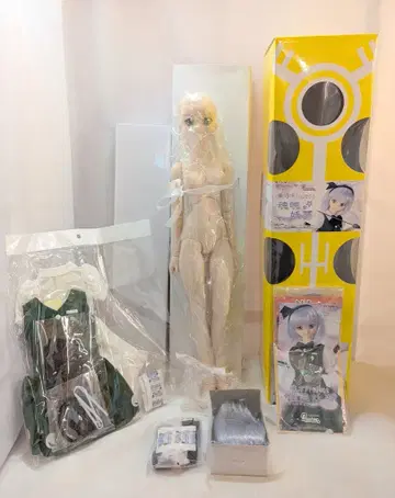 보크스 DDS 동방 Project