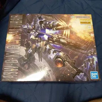 MG 건담 비달
