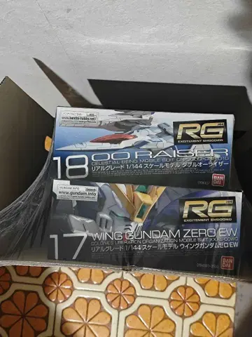 RG 00 RAISER & WING GUNDAM ZERO EW 세트