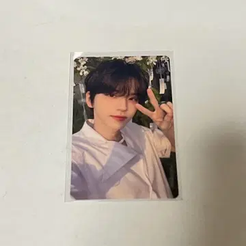 TWS 처음 뵙겠습니다 타워 레코드 라키드로 시뉴 트레이딩 카드