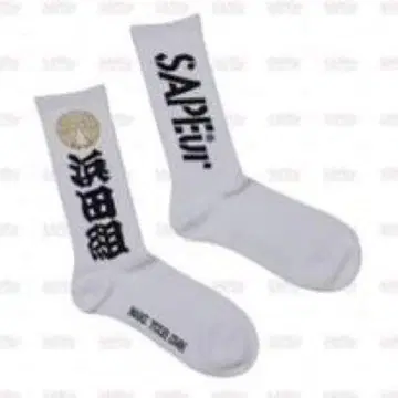 사풀 HAMADA MASATOSHI 하마짱 콜라보 삭스