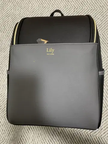 Lily 합성 피혁 백팩 백팩