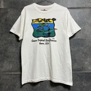 Hanes 헤인즈 다이빙 괘암 돌핀 반팔 티셔츠 usa 구제 의류