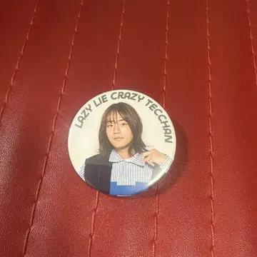 레이크레 테챠 캔뱃지
