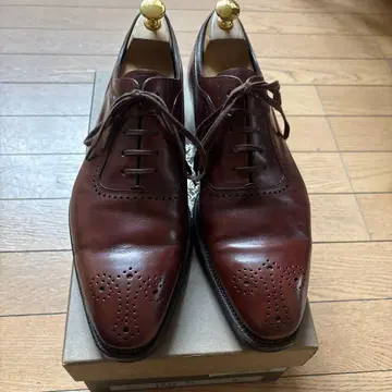 셰틀랜드 폭스 달링턴