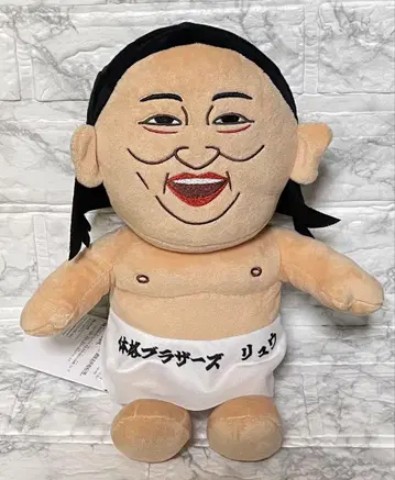 재고 라스트! 아키야마 체격 브라더스 봉제 인형 류