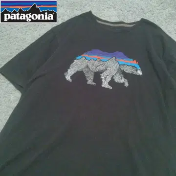 Patagonia 파타고니아 피츠로이 베어 티셔츠 그래픽