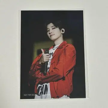 SEVENTEEN 전시회 Be the sun 나고야 입장 혜택 원우