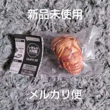 반다이남코 생물대도감 장수풍뎅이 10 오쿠와가타 번데기
