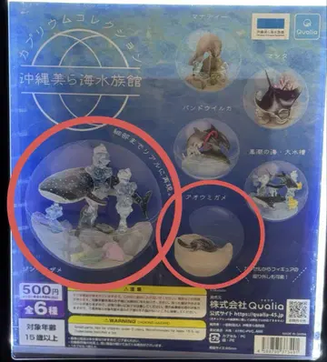 가이유칸 카프리움 컬렉션
