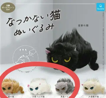 친근한 고양이 봉제 인형 공원 고양이 집주인 고양이 생선가게 고양이