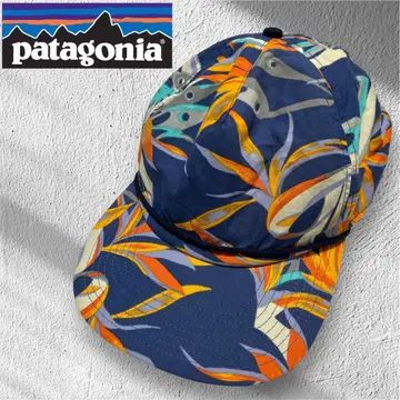 파타고니아 Patagonia 웨이브 페어러 캡 올 패턴