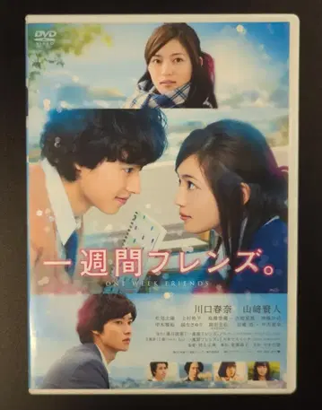 일본 국내 영화 DVD 주간 프렌즈.