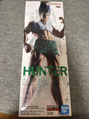 헌터 x 헌터 곤 피규어