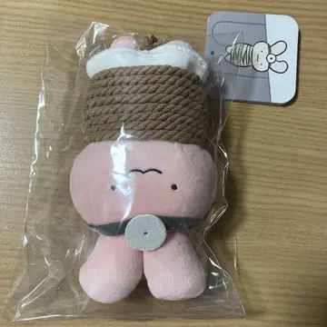 화이트 타이거와 블랙 타이거 마스코트 (도망치는 토끼 선생님)
